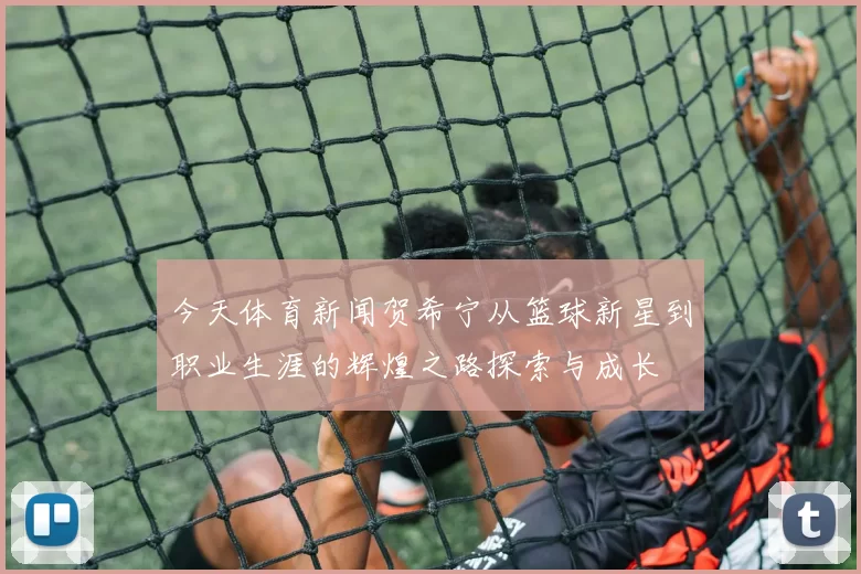 今天体育新闻贺希宁从篮球新星到职业生涯的辉煌之路探索与成长